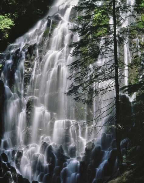 Oregon, Mt Hood Wilderness Ramona Falls